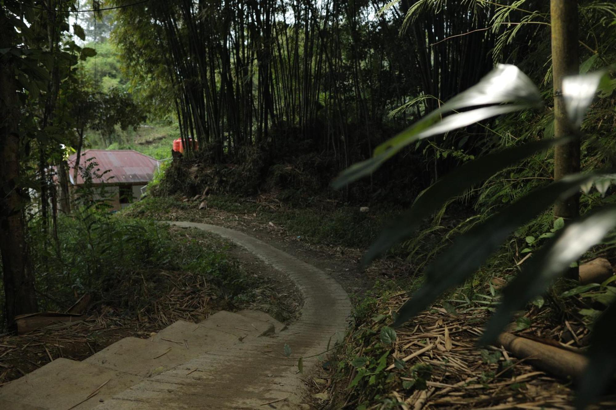 Mama Tia Family Homestay Rantepao Exterior photo