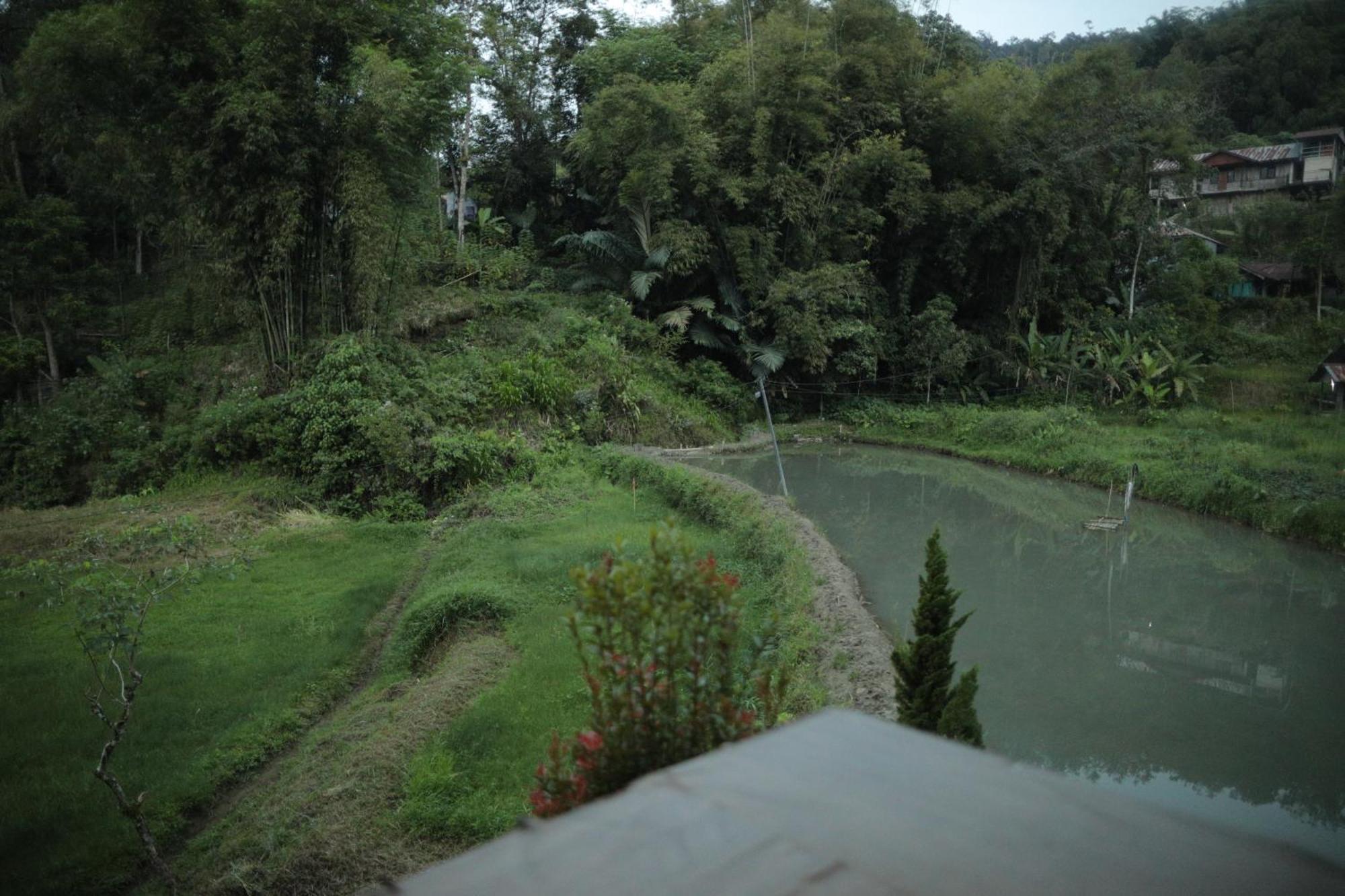 Mama Tia Family Homestay Rantepao Exterior photo